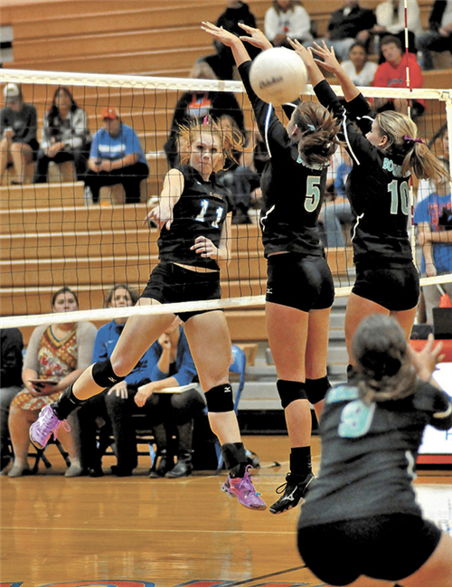 Volleyball 2013 